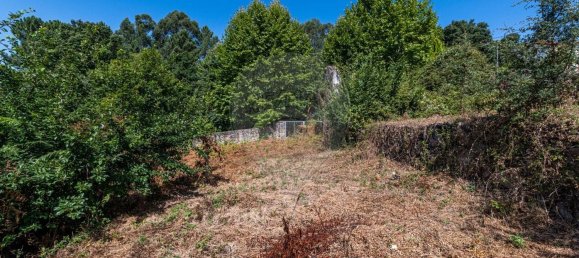 1 bedroom House in Celorico de Basto, Portugal No. 159970 9