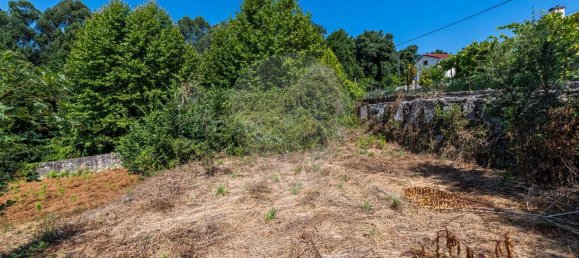 1 bedroom House in Celorico de Basto, Portugal No. 159970 22