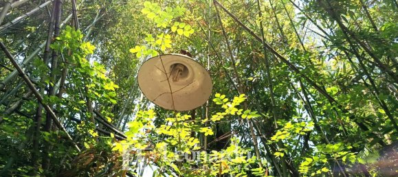 10غرفة منزل في Camaiore, Italy رقم 335283 14