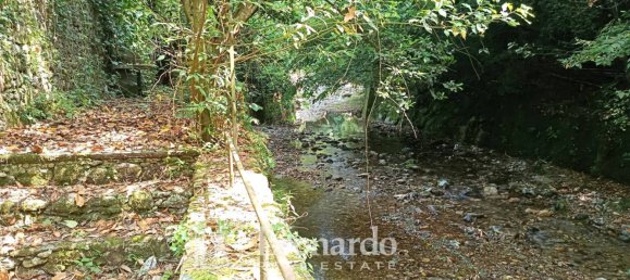 10غرفة منزل في Camaiore, Italy رقم 335283 5