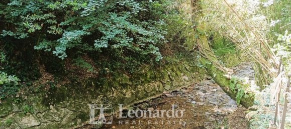 10غرفة منزل في Camaiore, Italy رقم 335283 20