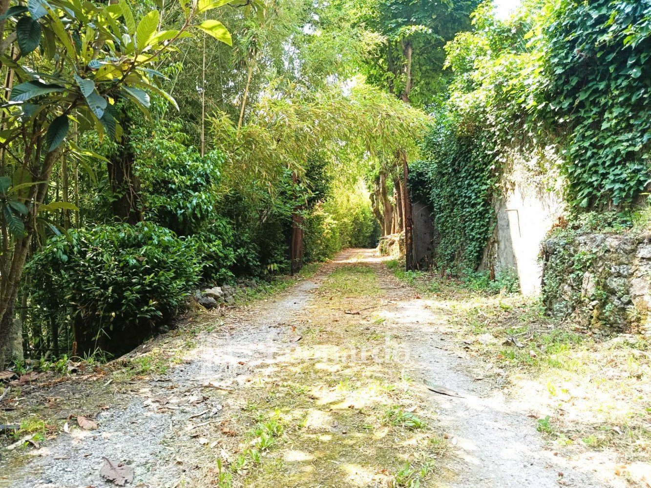 10غرفة منزل في Camaiore, Italy رقم 335283