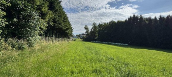  Land in Graz-Umgebung, Austria No. 213750 8