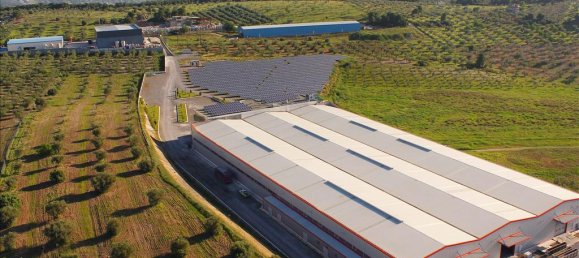 10250m² Property in Boeotia, Greece No. 6882 2