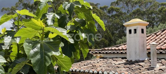 9 bedrooms House in Sintra, Portugal No. 164070 39