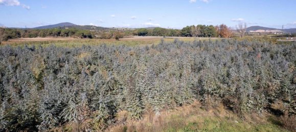 Villa de 7 divisões em Montalto di Castro, Italy N.º 178152 21