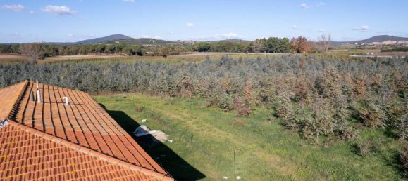 Villa de 7 divisões em Montalto di Castro, Italy N.º 178152 15