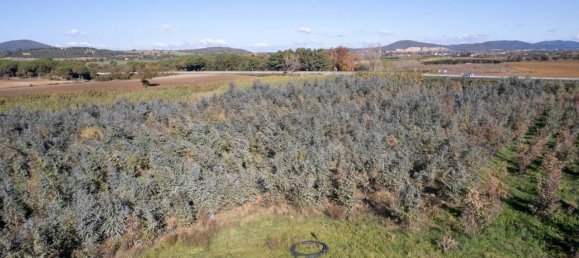 Villa de 7 divisões em Montalto di Castro, Italy N.º 178152 6