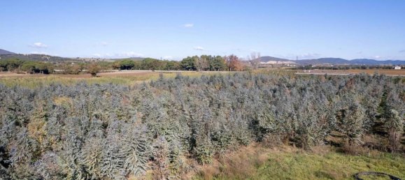 Villa de 7 divisões em Montalto di Castro, Italy N.º 178152 3