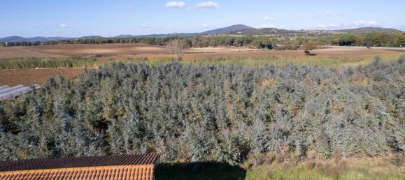 Villa de 7 divisões em Montalto di Castro, Italy N.º 178152 8