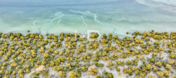 1199.9m² Land in Abu Dhabi, UAE No. 47591 21