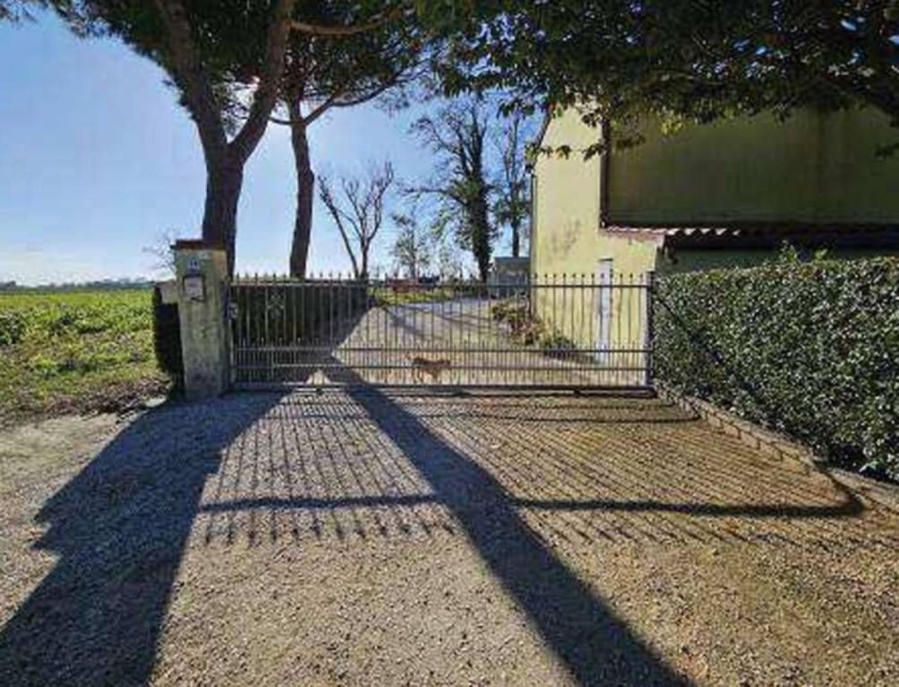 3 rooms House in Codevigo, Italy No. 214637