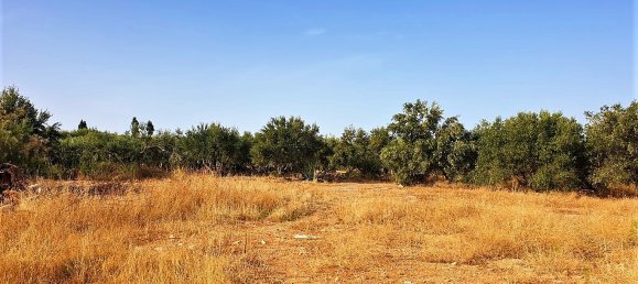 10500m² Hotel in Hersonissos, Greece No. 4072 3