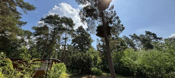 Terrain à Anhalt-Bitterfeld, Germany No. 258385 6