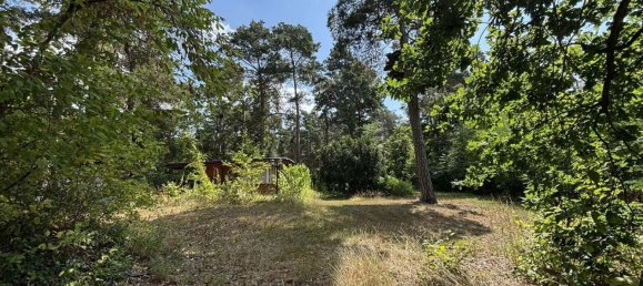 Terrain à Anhalt-Bitterfeld, Germany No. 258385 5