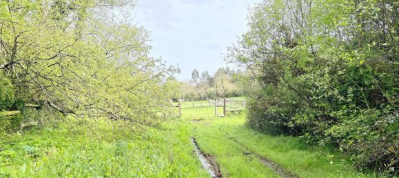 Terrain à Arteixo, Spain 14887m² No. 57181 15