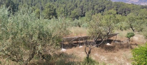 Casa T2 em Cela De Nunez, Spain N.º 160375 32