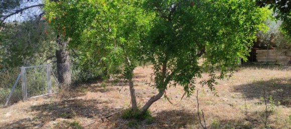 Casa T2 em Cela De Nunez, Spain N.º 160375 45