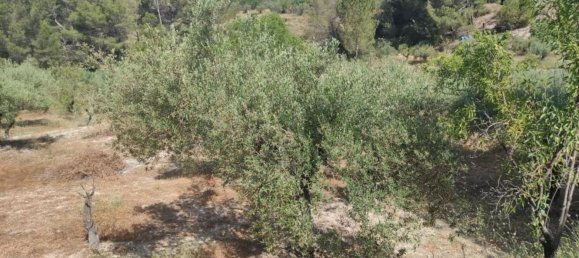 Casa T2 em Cela De Nunez, Spain N.º 160375 36