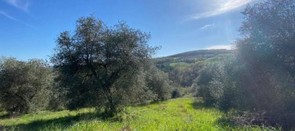 Terreno em Manciano, Italy 120000 m² N.º 113875 4