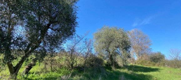 Terreno em Manciano, Italy 120000 m² N.º 113875 13