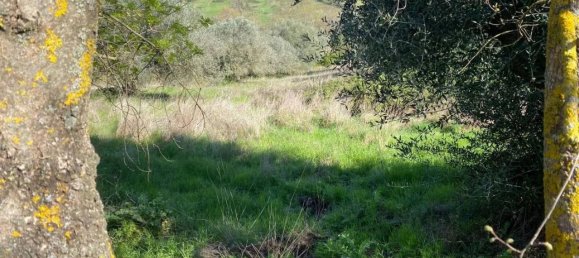 Terreno em Manciano, Italy 120000 m² N.º 113875 6