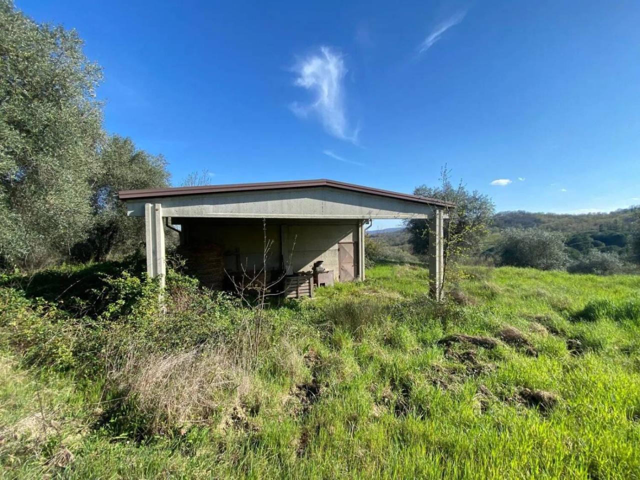 Terreno em Manciano, Italy 120000 m² N.º 113875