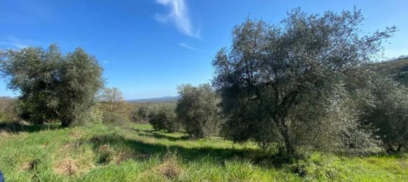 Terreno em Manciano, Italy 120000 m² N.º 113875 14