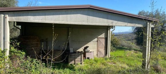 Terreno em Manciano, Italy 120000 m² N.º 113875 3