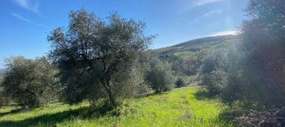 Terreno em Manciano, Italy 120000 m² N.º 113875 7