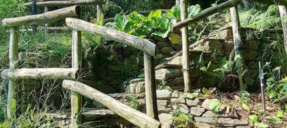 6 rooms House in Pianello del Lario, Italy No. 142836 43