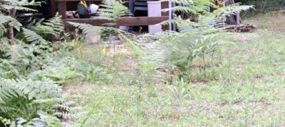 6 rooms House in Pianello del Lario, Italy No. 142836 32