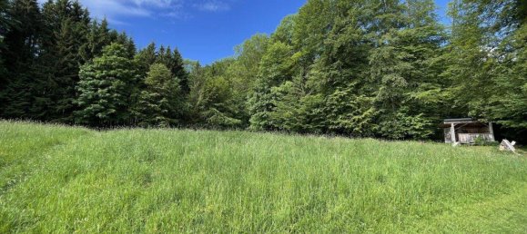 Земельный участок в Занкт Георген им Аттергау, Австрия № 248068 2