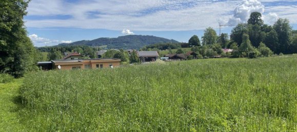 Земельный участок в Занкт Георген им Аттергау, Австрия № 248068 3