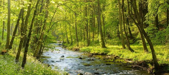 3 bedrooms Apartment in Bayreuth, Germany No. 194123 15