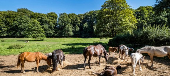 Земельный участок в Вандсбек, Германия № 63168 7