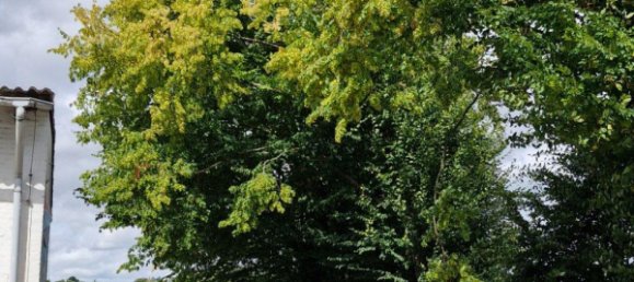 7 rooms House in Kassel, Germany No. 287041 16