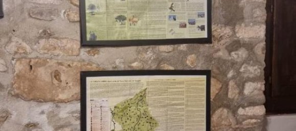 3-Zimmer Wohnung in Vico del Gargano, Italy, Nr. 17657 20