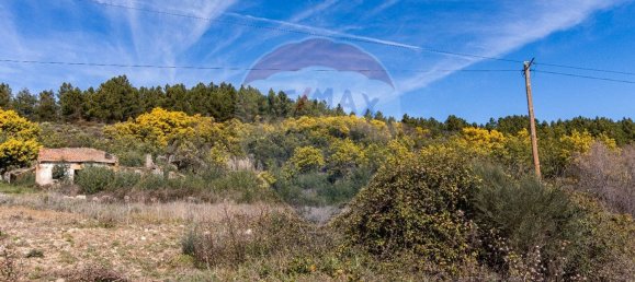 7500m² Land in Macainhas, Portugal No. 70061 3