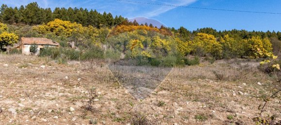 7500m² Land in Macainhas, Portugal No. 70061 2