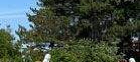  Land in Strasshof an der Nordbahn, Austria No. 152529 4