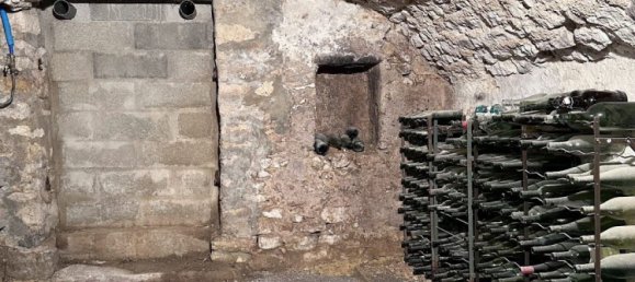 Casa de 5 dormitorios en Nargis, France No. 89971 28