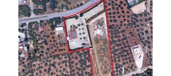 5 rooms Commercial property in Bitonto, Italy No. 254379 7