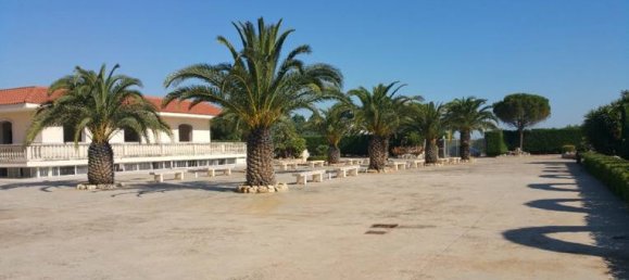 5 rooms Commercial property in Bitonto, Italy No. 254379 3