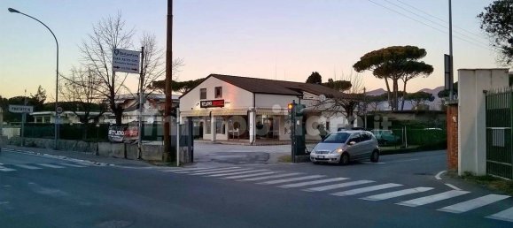 4 rooms Building in Massa, Italy No. 163766 24