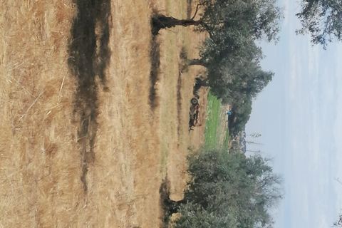 Grundstück in Aljustrel, Portugal, Nr. 224761