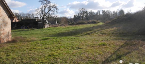 5 rooms House in Neung-sur-Beuvron, France No. 216113 4