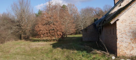 5 rooms House in Neung-sur-Beuvron, France No. 216113 5