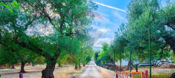 6 rooms House in Fasano, Italy No. 121069 4