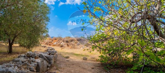 6 rooms House in Fasano, Italy No. 121069 28